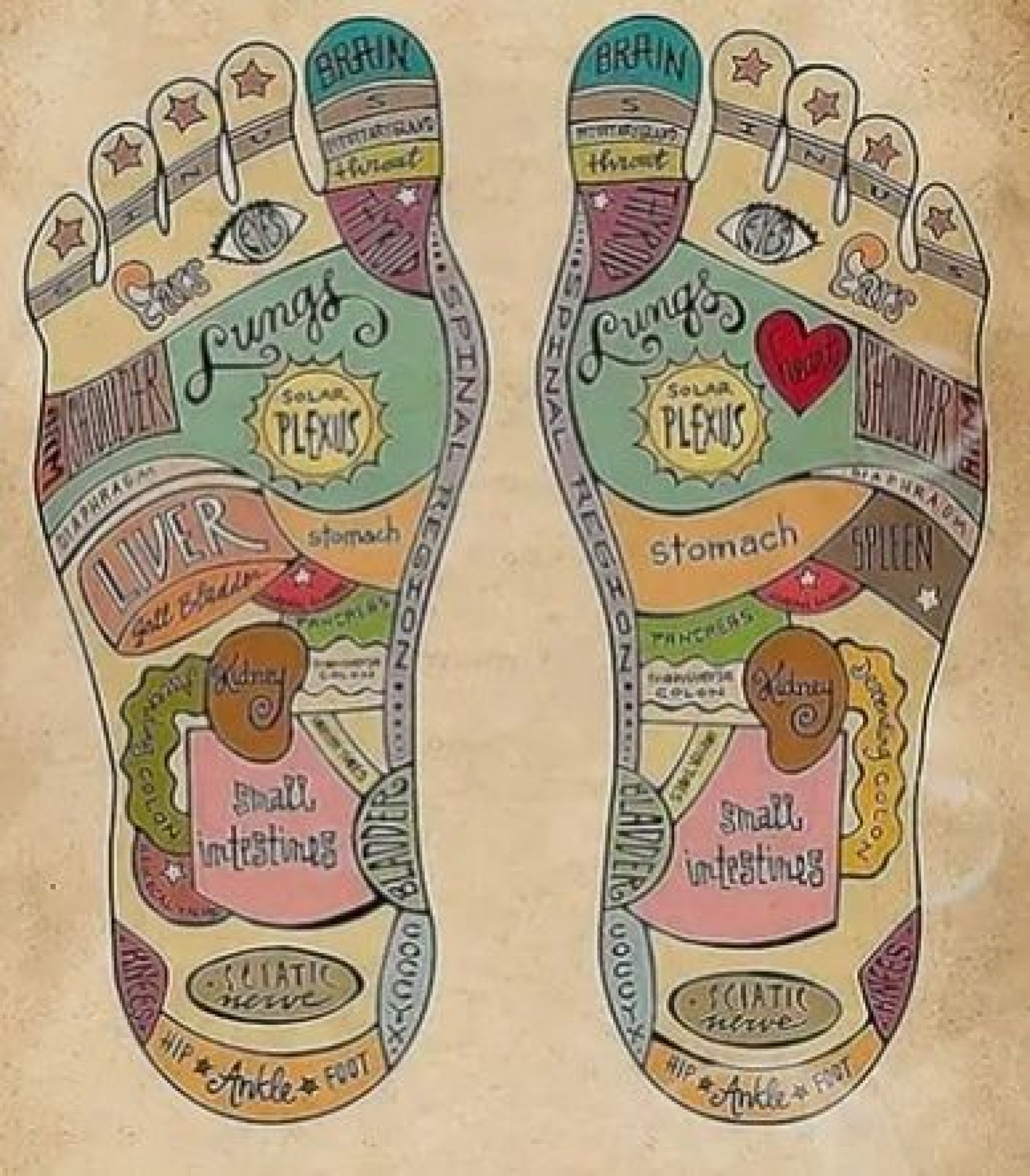 Voetreflexologie - Verlichting van chronische stress